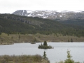 P1070394