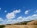 P1001725