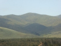 P1290446