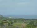 P1290551