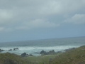 P1290559