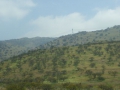 P1290647