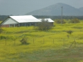 P1290664