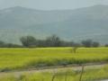 P1290665