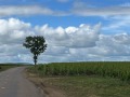 IMG_1010