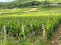 IMG_1011
