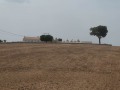P1270599