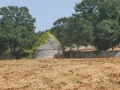 P1270627