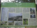 P1230203