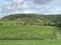 IMG_5406
