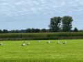IMG_5410