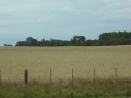 P1300621
