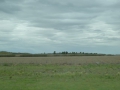 P1300623