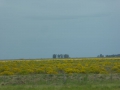 P1300632