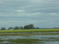 P1300681