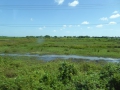 P1060868