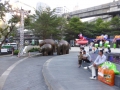 P1090004