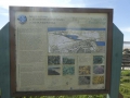 P1190781