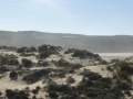 P1190787
