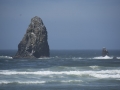 DSC_2684