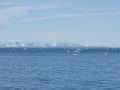DSC_1466