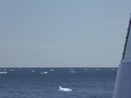 P1090068