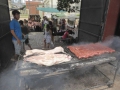 P1370919