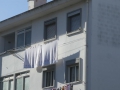 P1170003