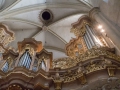 P1003631