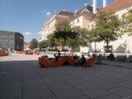 P1004101