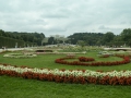P1003913