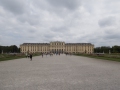 P1003917