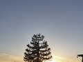P1060633