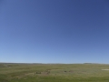 P1100945