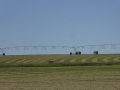 P1100947
