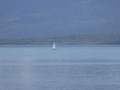 P1110258