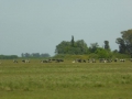 P1310456