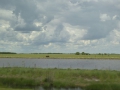 P1310515