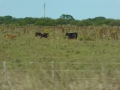 P1220308