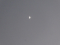 P1160766