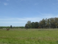 P1300747