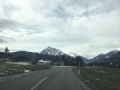 IMG_0305